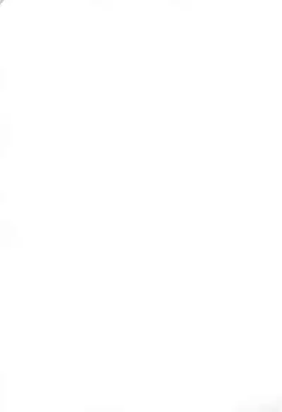 (Puniket 17) [Mokusei Lemonade (Various)] Holywater (Mitsudomoe)