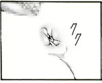 [Kame no Onaka] CORRUPT&ROTTEN Cutey Liddy no Funiku no Andouille "Sono San"