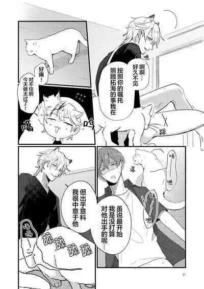 捡回家的猫竟是猫妖