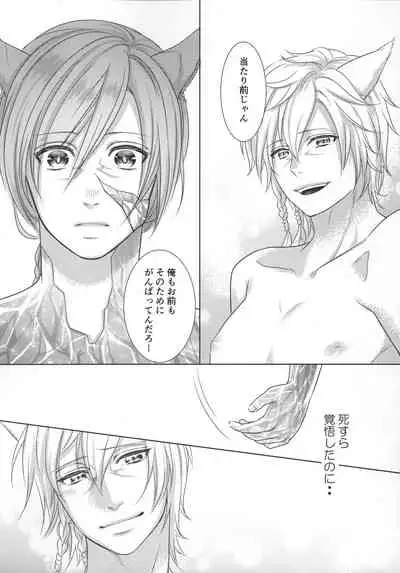 [Nawofu Mochi (Nawofu)] Focus (Final Fantasy XIV)