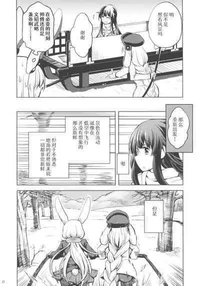 Run Rabbit Lovely Rough | 陆地,兔子,迷人的,爱