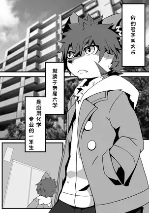 Kyoudai Ko Kko | 兄弟游戏