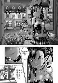 [Rusty Soul, Alto Seneka] Brandish 6 [Chinese] [Kanade汉化组] [Digital]