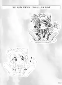 (C53) [AKKAN-Bi PROJECT (Yanagi Hirohiko)] Code Number wa 20 (Cardcaptor Sakura)