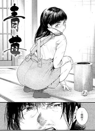 Irotoridori | 色彩繽紛