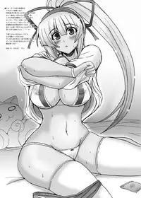 (C75) [C.R's NEST (C.R)] DOM TOYBOX (Samurai Spirits)