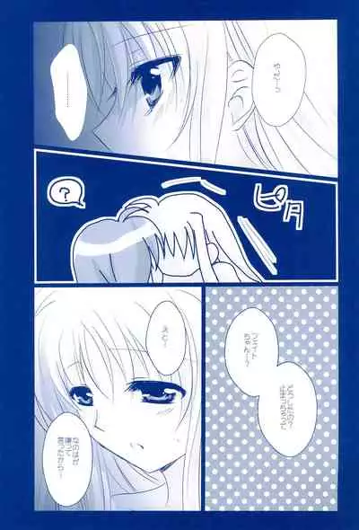 (C85) [Ameiro (Nanashiki)] Love Forever -NanoFei nano Sairoku-shuu 2- (Mahou Shoujo Lyrical Nanoha)