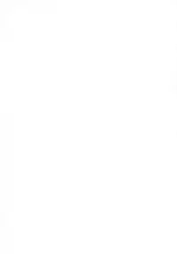 (C78) [UDON-YA (Kizuki Aruchu, ZAN)] Monhan no Erohon 9 (Monster Hunter)