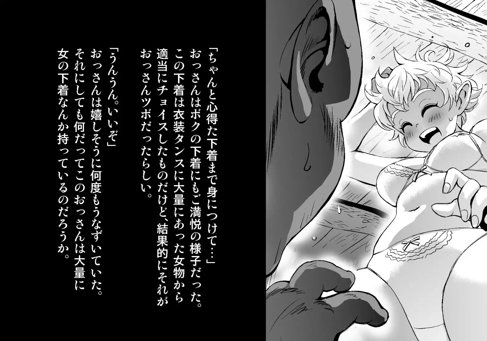 フェアリーセティ