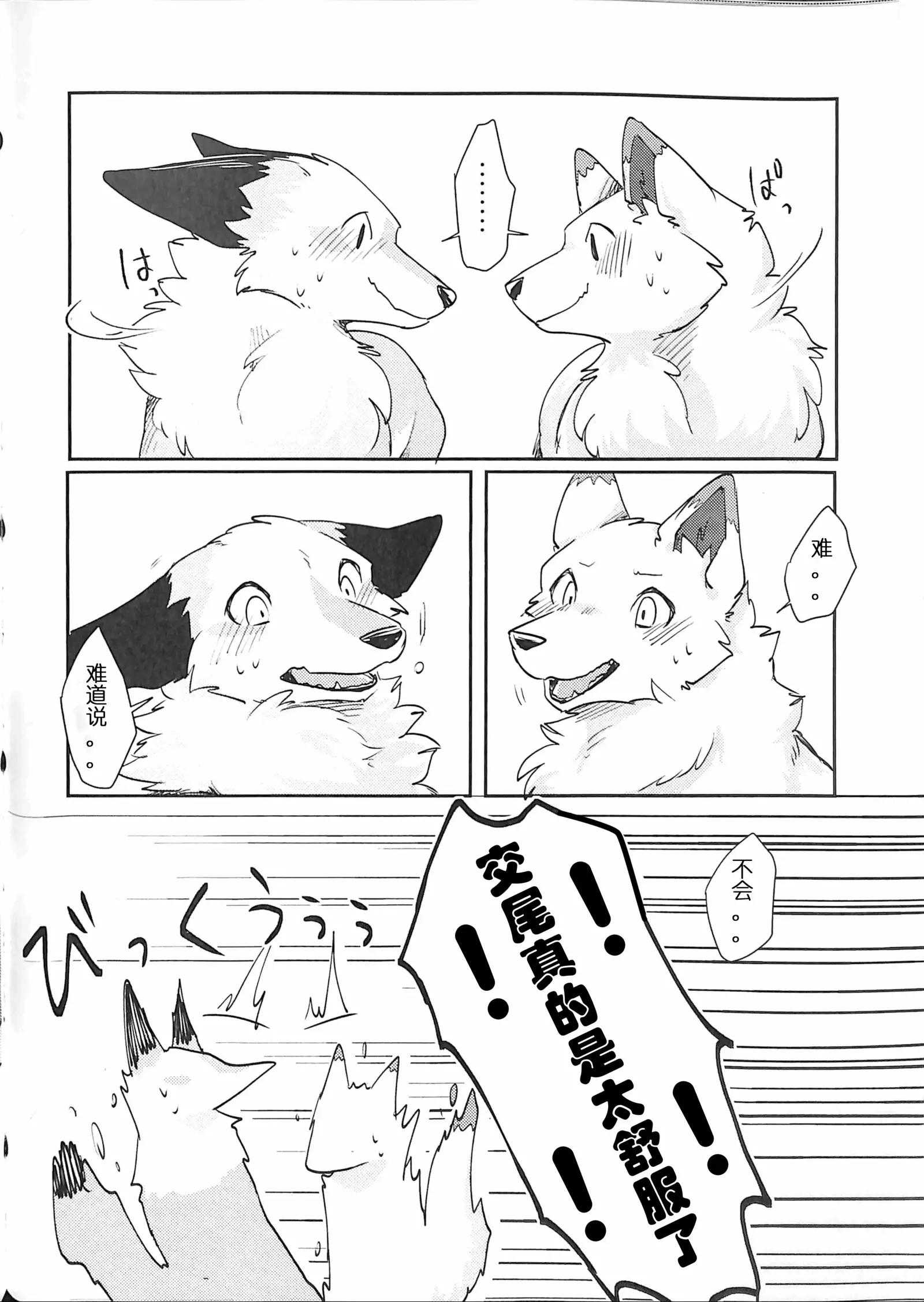 Yume Utsutsu Lovage | 林间小夜曲