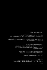 (SUPER19) [Iro Rabbit (Arima)] M no Ganbou S no Shinjou | The Desires of a Masochist, The Heart of a Sadist (Gintama) [English]