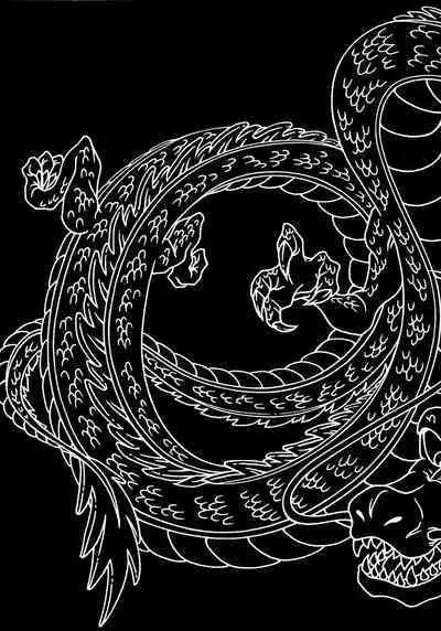 Dragonball Fan Book SPLASH!!!