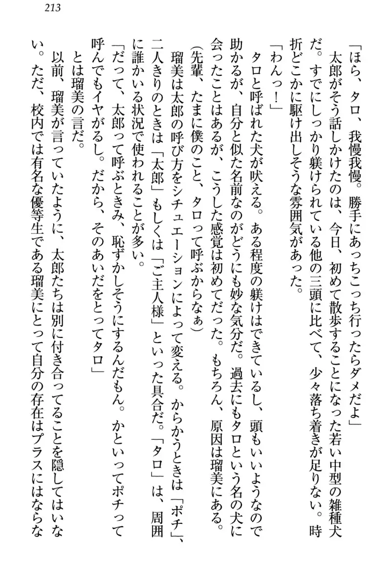 Boku to Ruu Senpai no Houkago Choukyou Nisshi - Kyou mo Watashi o Shitsukenasai!