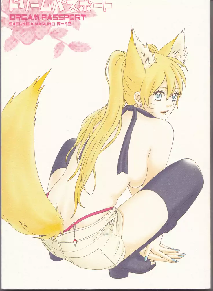 Dream Passport ongoing