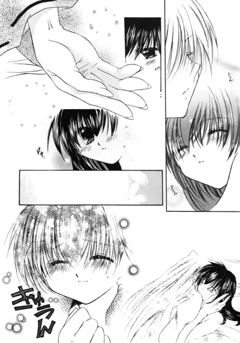 clover clober clover