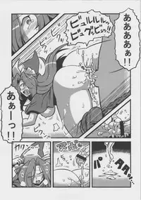 (CT18) [Circle Nuruma-ya (Tsukiwani)] Mima-sama Yume Mousou (Touhou Project)