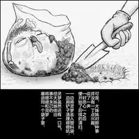 大姊姊与油库里(半生不熟汉化组)