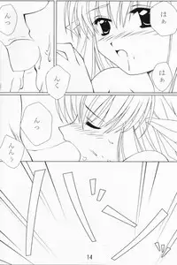 (CR28) [Nirvana Soft (HIRONII, SINN)] LIGHTNING CRASH (AIR)