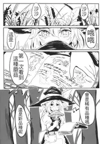 [Toadstool Factory (MIMIT)] Gensoukyou no Otokonoko - Kirisame Marisa / Alice Margatroid Hen | 幻想鄉的男之娘 - 霧雨魔理沙 / 愛莉絲・瑪嘉托洛伊德篇 (Touhou Project) [Chinese] [Digital]