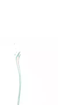 Hooker Ch.1-41 (English) (Ongoing)