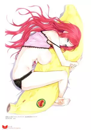 八宝備仁画集 紅蝶(ほてり)