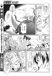 COMIC Shitsurakuten 2009-04 (Incomplete)