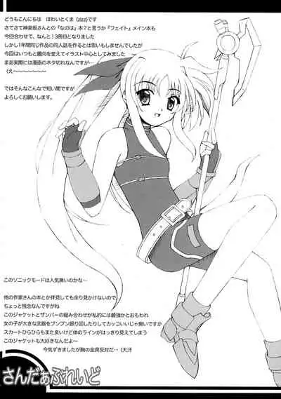 (C71) [Quantum Leap, Red Spec (Kagurazaka Sakina, ZiZZ)] Thunder Blade (Magical Girl Lyrical Nanoha)