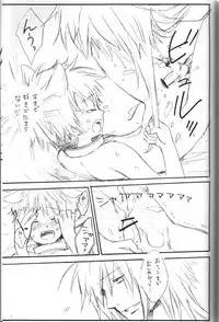 Peach Drop- Arco Iris