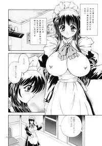 (C67) [Narimasuya] DOLLS DIARY -ReMix-