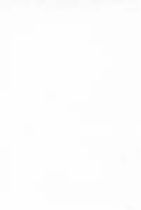 (Kouroumu 4) [CIRCLE ENERGY (Imaki Hitotose)] Touhou Pantsu (Touhou Project)