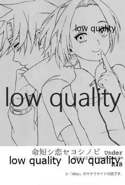 Inochi Mijikashi Koiseyo Shinobi Sairokushuu