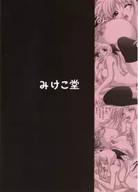 [Mikekodou (Mikeko)] Fate-san to H Shiyou (Mahou Shoujo Lyrical Nanoha)