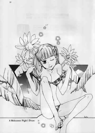 (C72) [Nego Blood (Various)] Nengoro (Shin Kidou Senki Gundam W [Mobile Suit Gundam Wing]) [個人漢化]