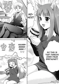 (COMIC1☆3) [Koakuma Sageha (Sage Joh)] Ookami to Mitsu Ringo (Spice and Wolf) [English]