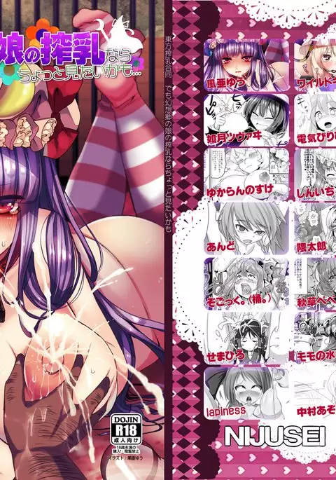 Touhou Sakunyuu Goudoushi Demo Gensoukyou no Musume no Sakunyuu nara Chotto Mitai kamo...