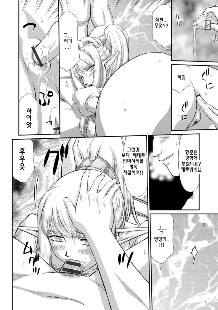 Inraku no Seijo Elvine | 음락의 성녀 에루뷔네