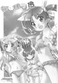 (C84) [Marchen Box (Various)] Nano Para 13 (Mahou Shoujo Lyrical Nanoha)