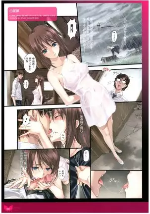 八宝備仁画集 紅蝶(ほてり)