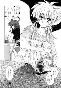 (C61) [Toko-ya (HEIZO, Kitoen)] side:NINA - Ryuu no Me no Fuukei ~ second (Breath Of Fire)