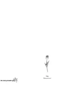 [Arai Yoshimi] Afurete Shimau - My heart is overflowing. [English] [Pink Cherry Blossom Scans]