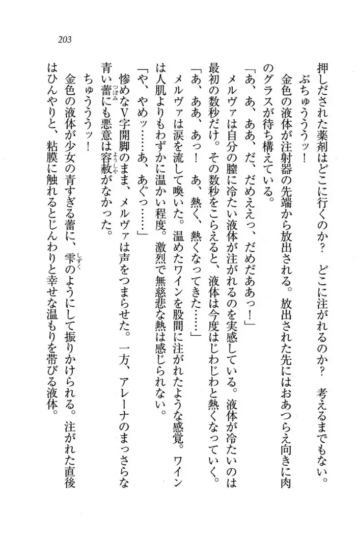 Circus~聖杯の魔法使い