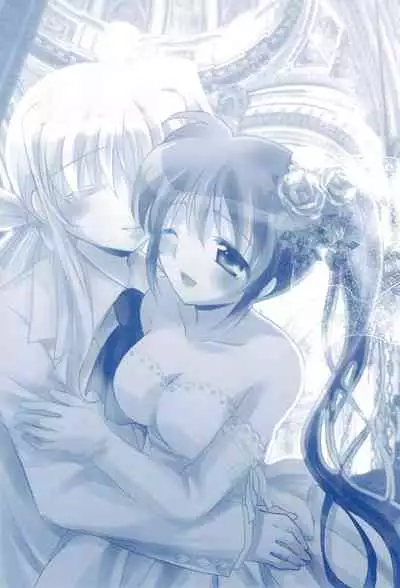 (C85) [Ameiro (Nanashiki)] Love Forever -NanoFei nano Sairoku-shuu 2- (Mahou Shoujo Lyrical Nanoha)