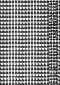 [Araki Kyouya] Russian Roulette Hyper