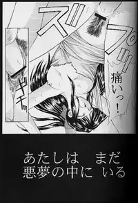 (C55) [Secret Society M (Kitahara Aki)] Yume no Mayoiji Gekan (Sakura Taisen)