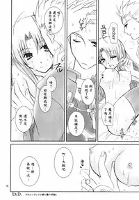 (C66) [Happy Water (Kizaki Yuuri)] Restraint. (Fate/stay night) [Chinese] [wl00314824個人漢化]