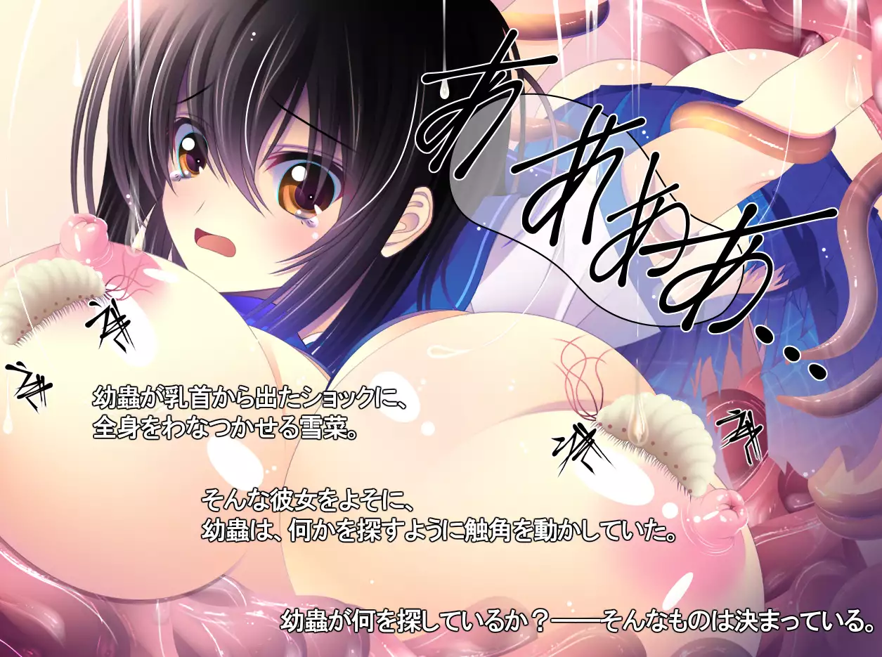 yabure, bakunyu chochichi naedoko ni, benki ni Daraku To sa reru hiroin!~ Hime ￮ setsuna ~