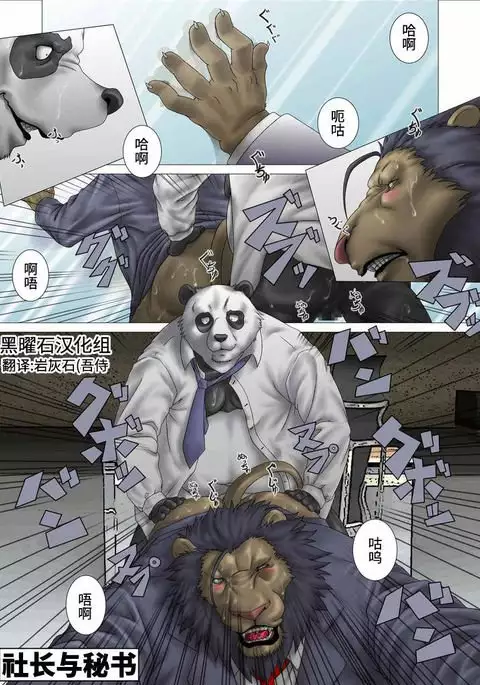 社长与秘书