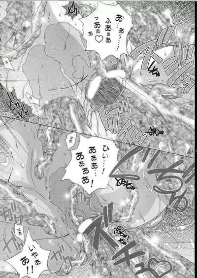 (C67) [DiGiEL (Yoshinaga Eikichi)] Blan Brulee (Futari wa Precure)