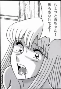 早乙女組総集編２ 携帯サイズ