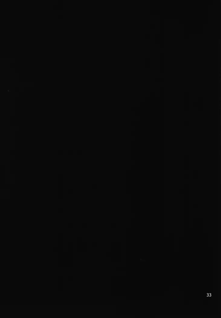 黒き森の魔女の胎